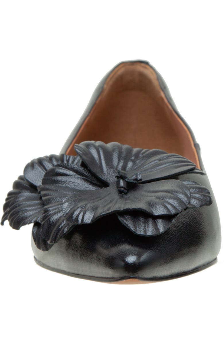 Linea Paolo Nerine Pointed Toe Flat, Alternate, color, Black