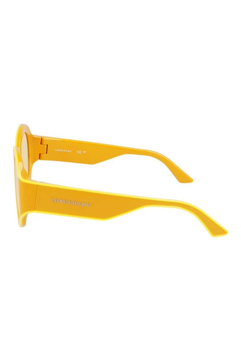 Heritage 53mm Oval Sunglasses, Alternate, color, HONEY