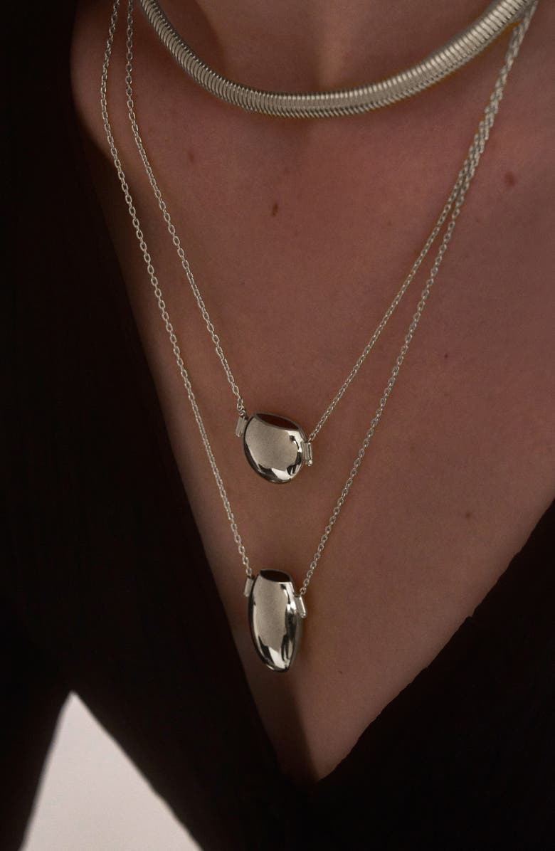 Lady Grey Relic Pendant Necklace, Alternate, color, Silver