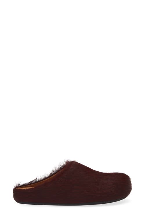Marni Fussbett Sabot Genuine Calf Hair Clog In Brown