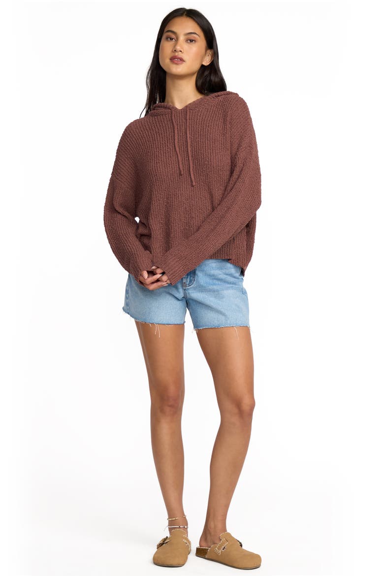 Hot Beachin' Hooded Sweater, Alternate, color, ESPRESSO BROWN