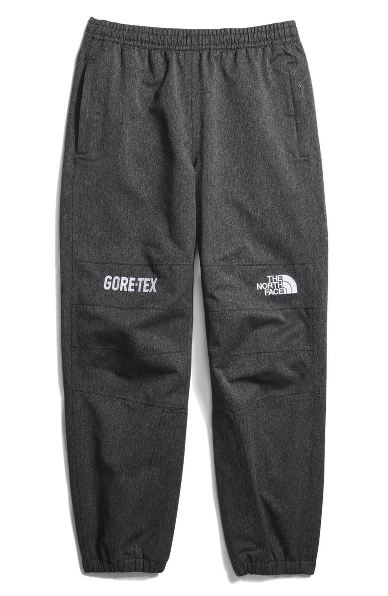 The North Face GTX Mountain Pants, Alternate, color, 