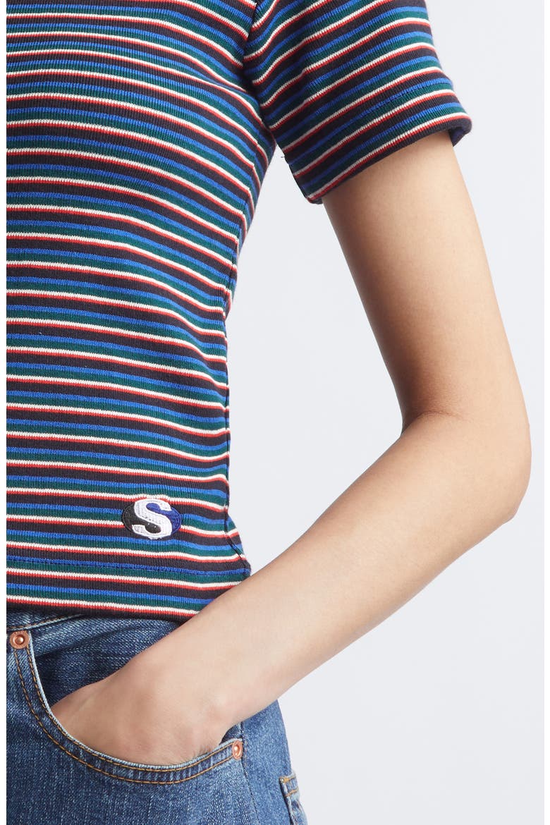 Stripe Rib Cotton T-Shirt, Alternate, color, BLUE