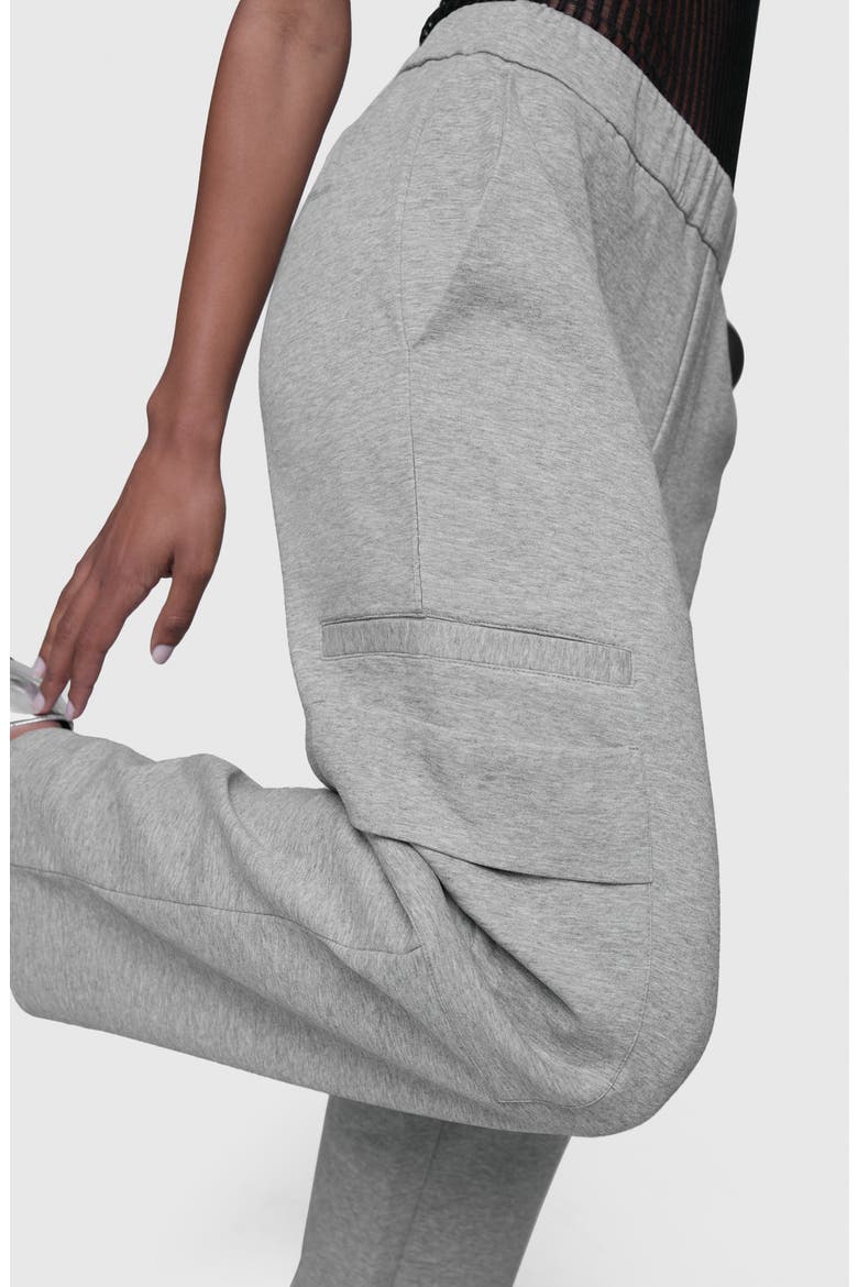 Viv Cotton Blend Scuba Cargo Pants, Alternate, color, HEATHER GREY