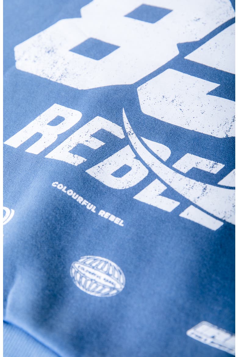 CR 85 Washed Zip Sweat, Alternate, color, Blue