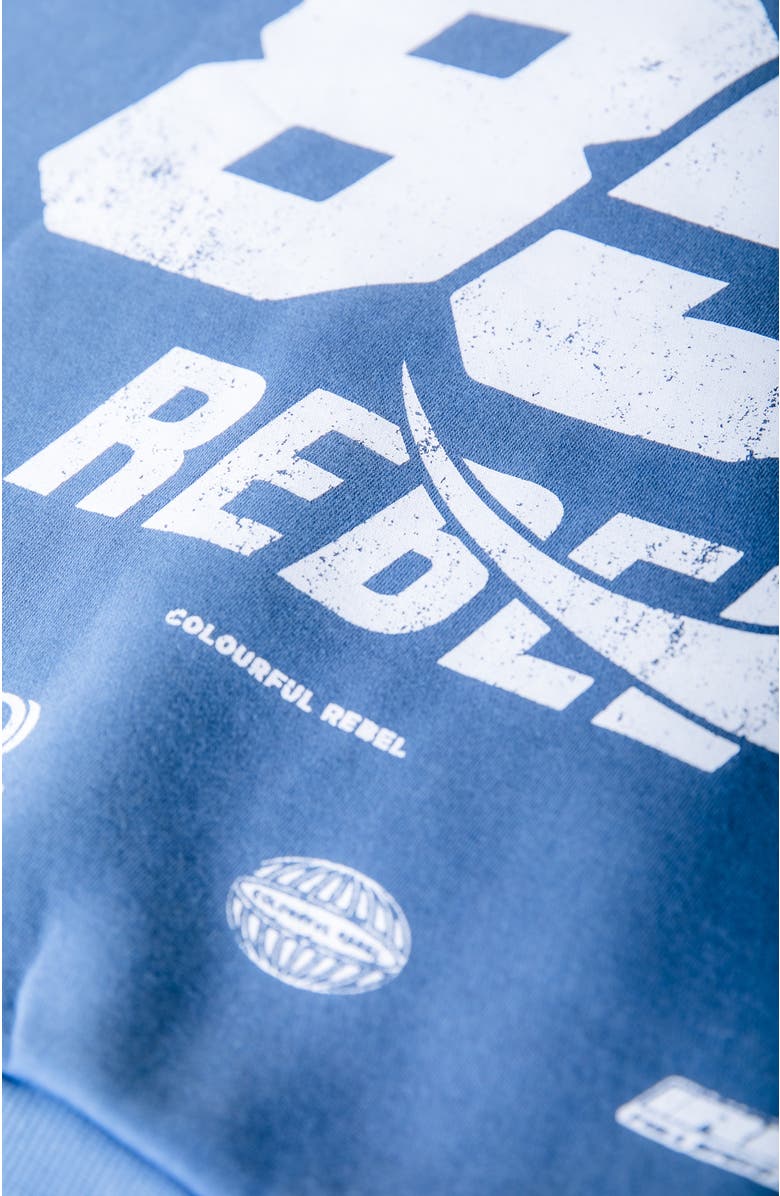 Colourful Rebel CR 85 Washed Zip Sweat, Alternate, color, Blue