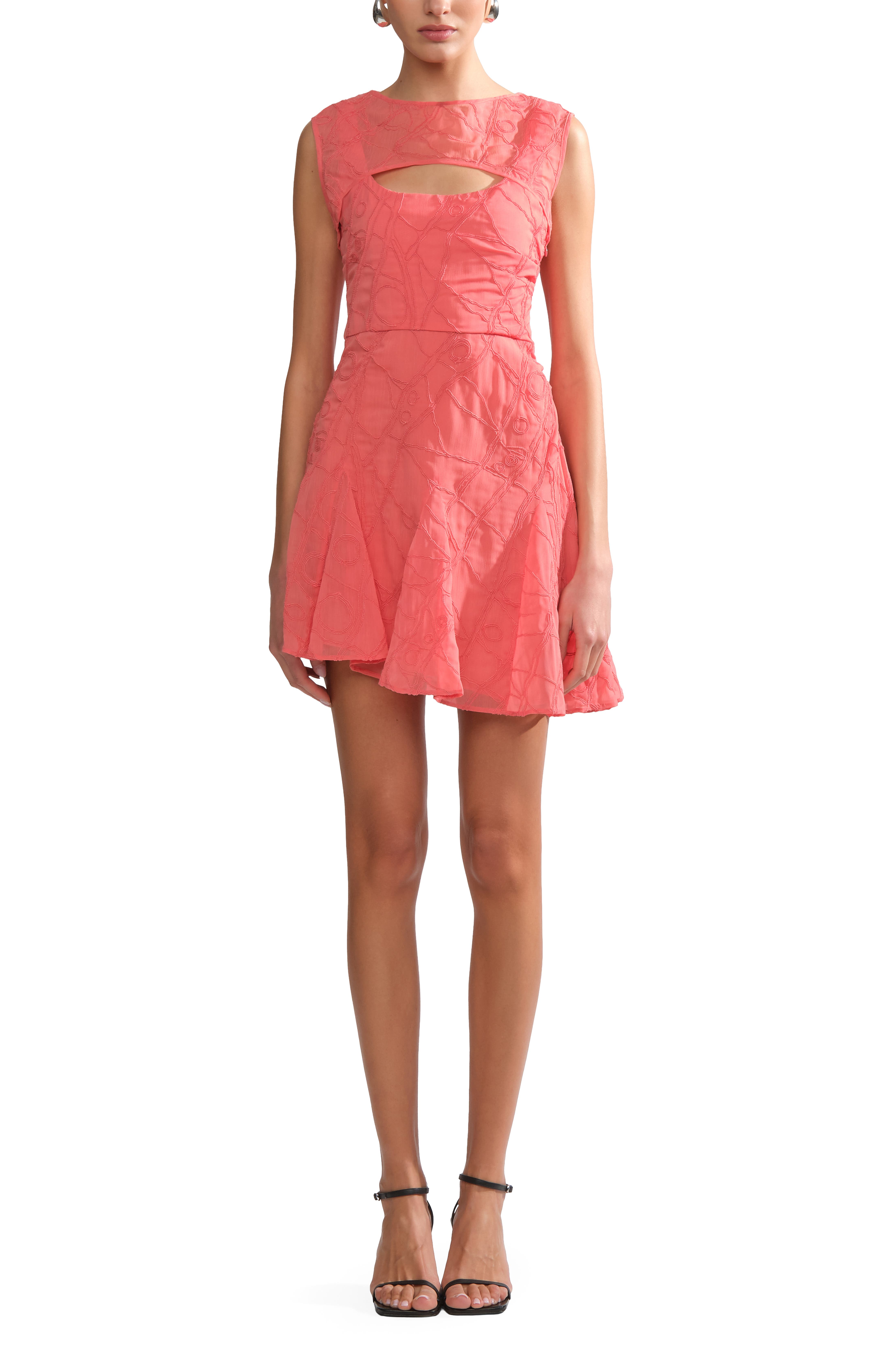 selected Aurelia