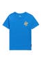 selected Nebulas Blue Heather