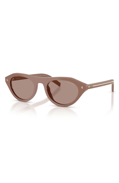 Prada Womens Brown Pr B15s Oval-frame Acetate Sunglasses In Brown
