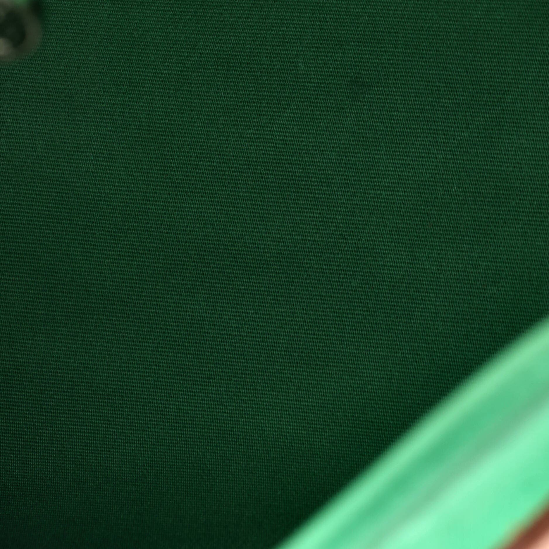 Pre-Owned Hermes Herbag Zip Leather and Toile 31, Alternate, color, Green