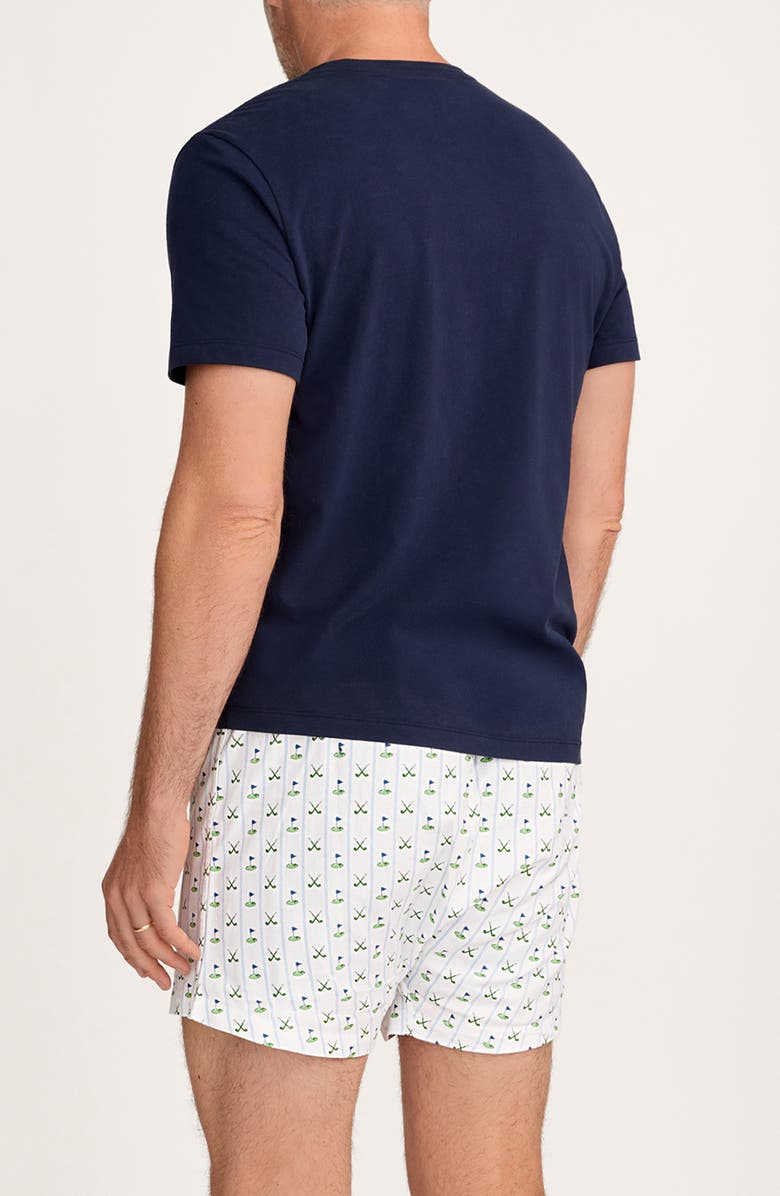 Petite Plume Assorted 3-Pack Cotton Twill Boxers, Alternate, color,