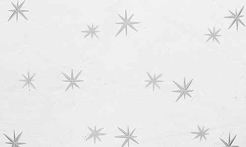 The Vintage List Star Carafe & Glass In Transparent