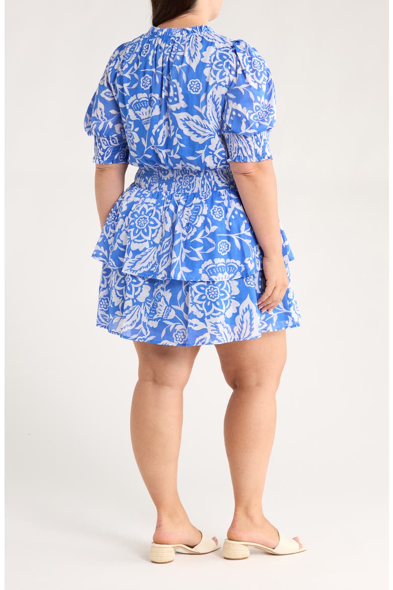 Marny Floral Rai Ruffle Cotton Dress, Alternate, color, BLUE/ WHITE