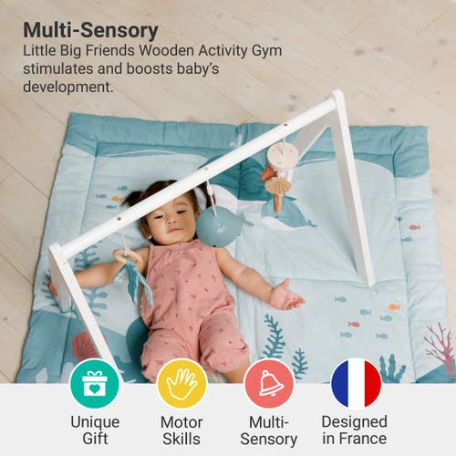 Little Big Friends Wooden Activity Arch In Multi