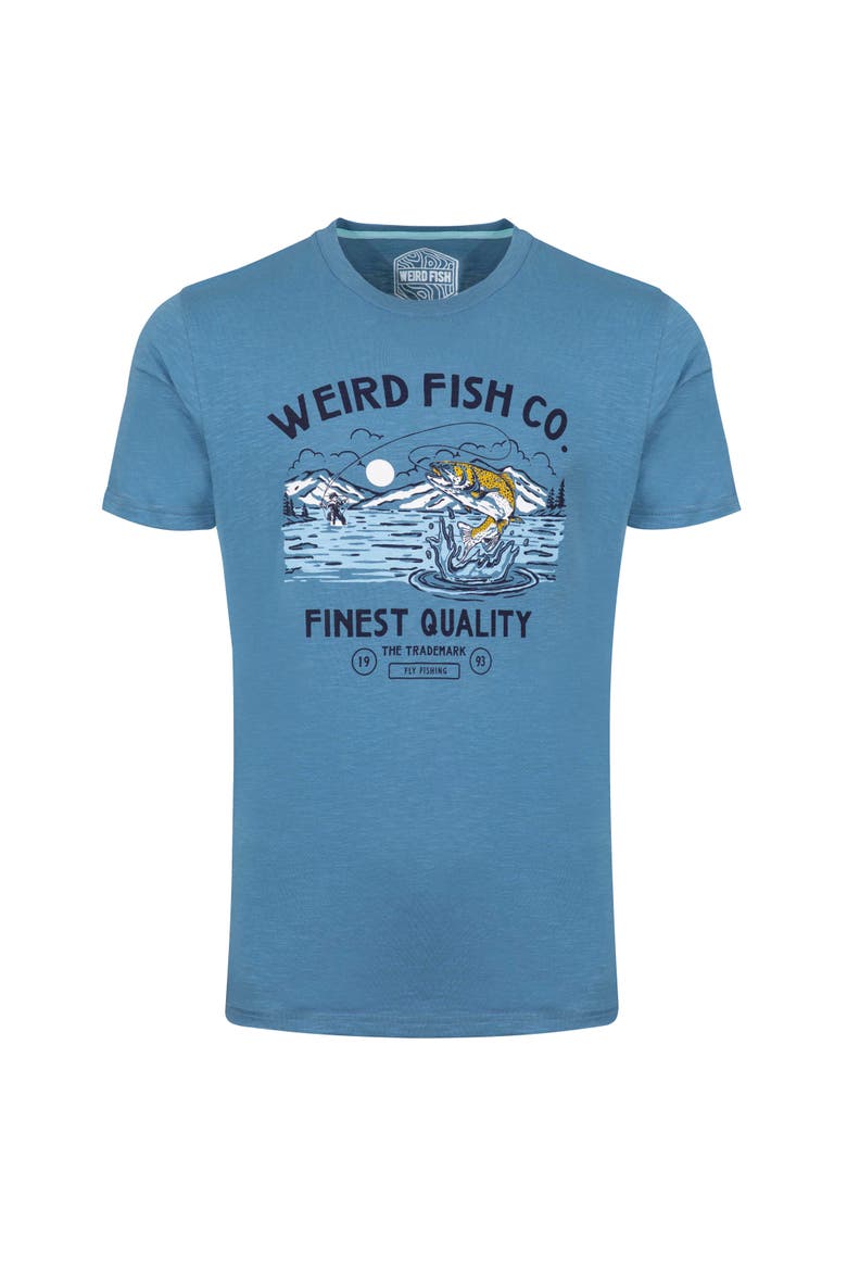 Fish Out Of Water Graphic T-Shirt, Alternate, color, Washed Blue