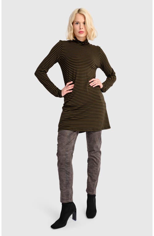 Alembika Form Turtleneck In Brown
