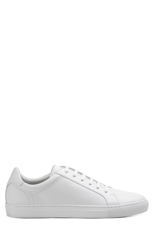 Blake Mckay Jay Low Top Sneaker