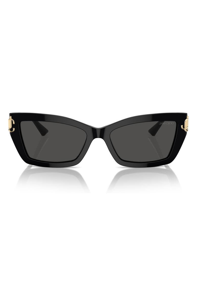 Jimmy Choo 55mm Cat Eye Sunglasses, Main, color, 