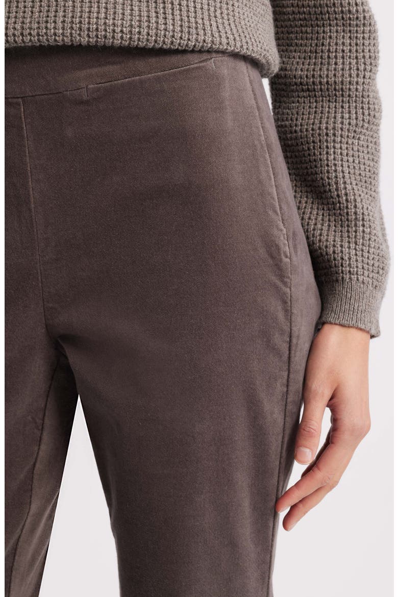 Zip Hem Slim Fit Stretch Organic Cotton Ankle Pants, Alternate, color, RYE