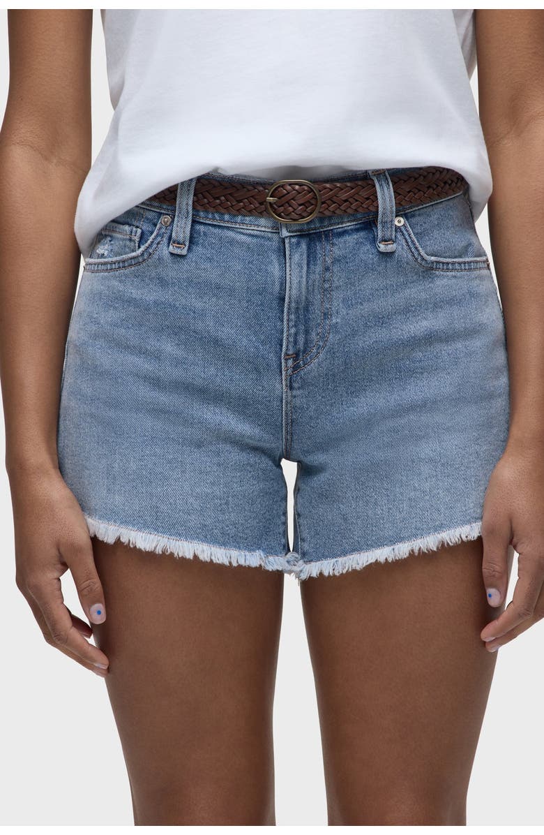 Hudson Jeans Gemma Short, Alternate, color, Delight