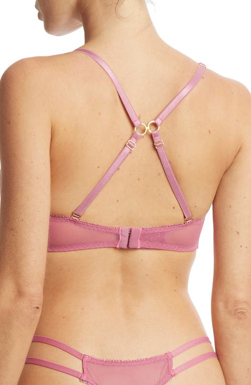Hanky Panky Strappy Lace Underwire Bra In Rosehip