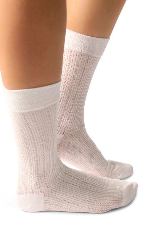 BELLE & BLOOM BELLE & BLOOM GO FOR IT CLASSIC RIBBED SOCKS