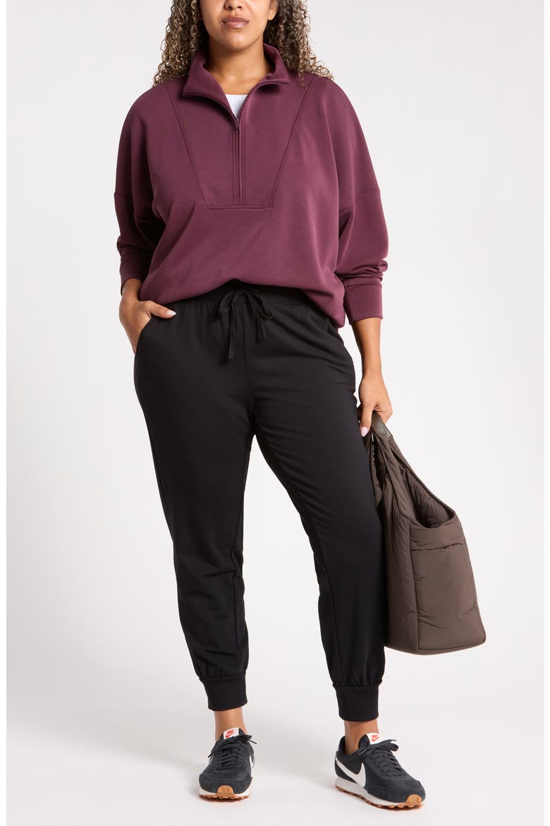Soft Luxe Half Zip Pullover, Alternate, color, BURGUNDY STEM