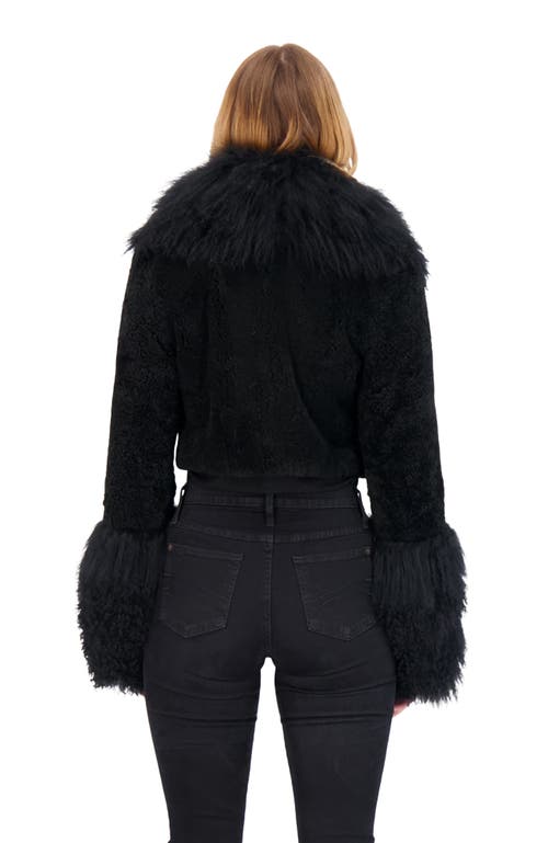 Gorski Cashmere Goat Shearling Crop Bolero Jacket With Mongolian Goat Fur Collar And Cuffs In Black