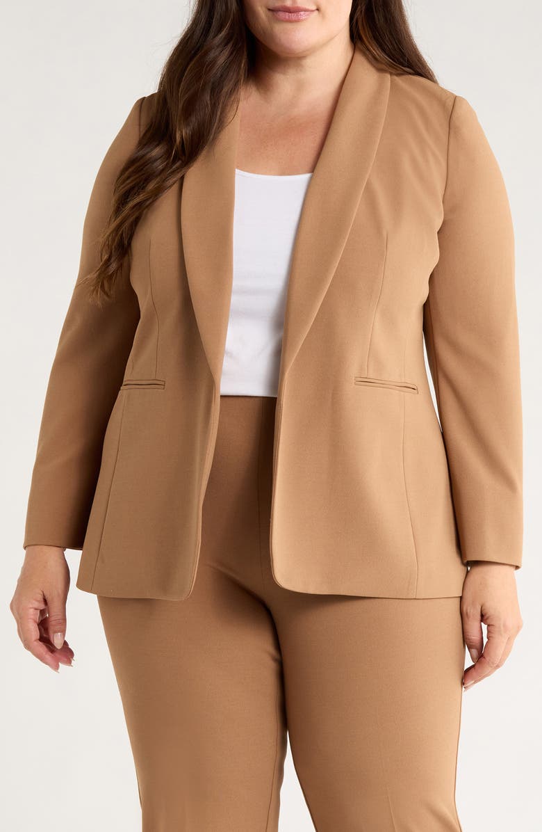 Anne Klein Shawl Collar Blazer, Main, color, 
