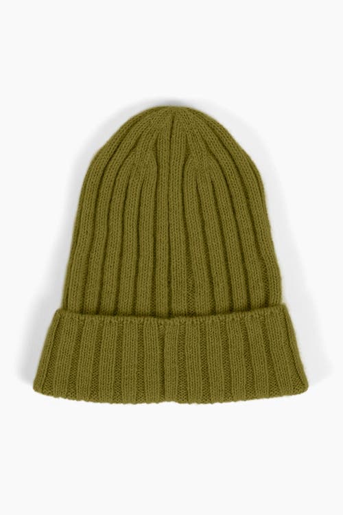 Sskein Ribbed Beanie In Moss
