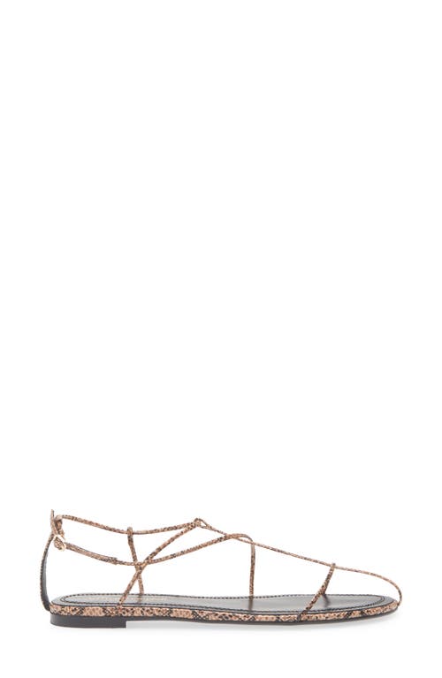 Jeffrey Campbell Trawl Ankle Strap Sandal