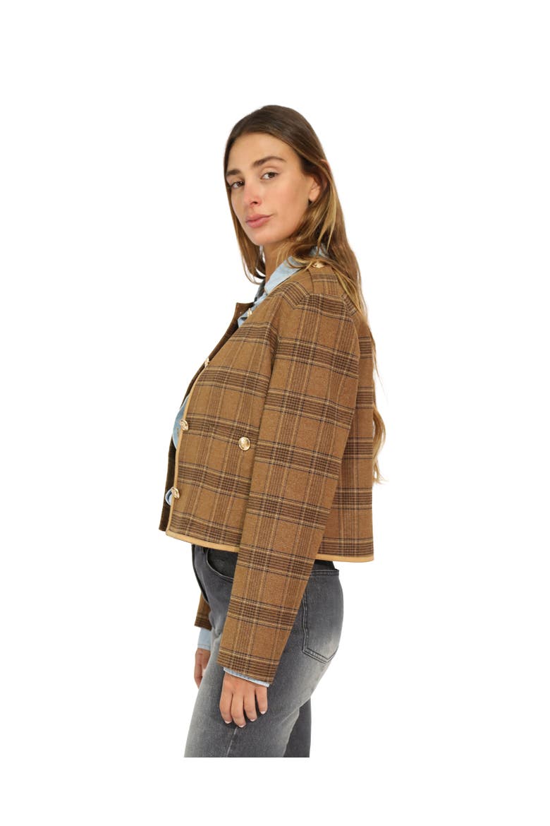 Dynasty Boxy Paisley Jacket, Alternate, color, Brown