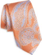 Nordstrom Paisley Silk Tie