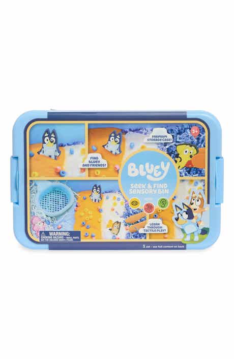 Bluey Seek & Find Sensory Bin