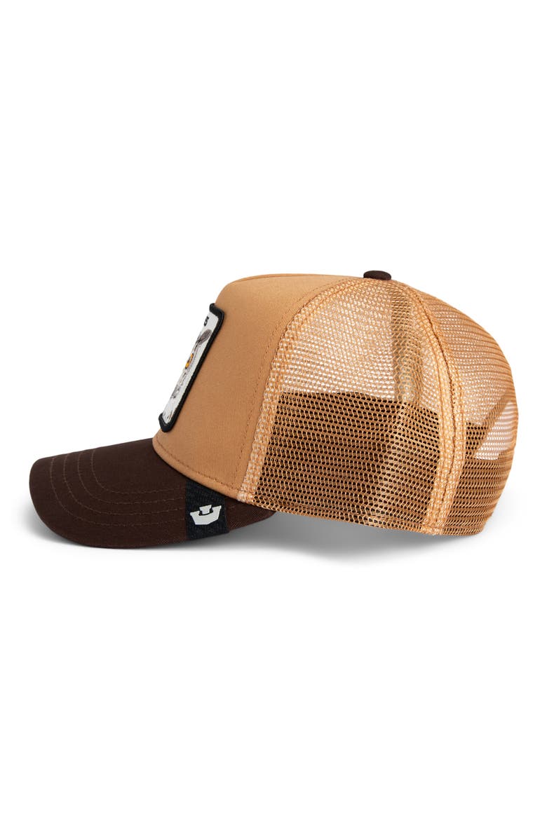 Wise Ass Owl Patch Snapback Trucker Hat, Alternate, color, HEAT / GROUND