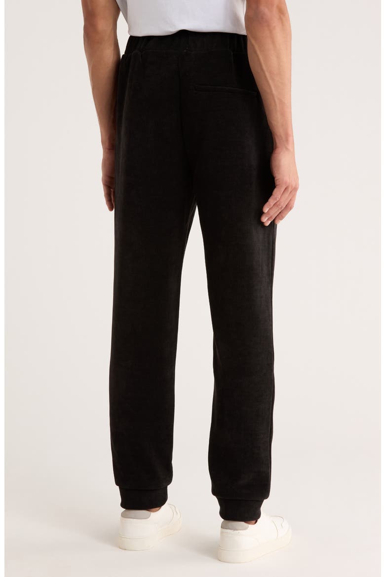 Plush Sueded Joggers, Alternate, color, BLACK