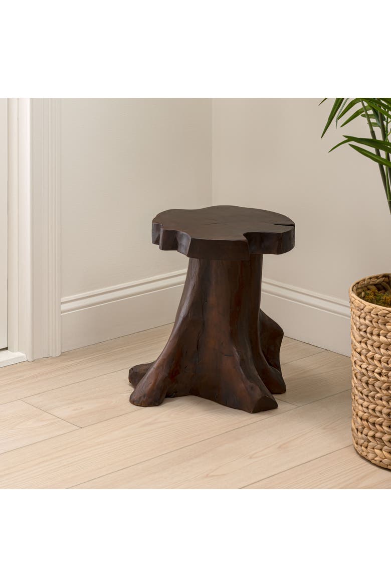 Amara Rustic Handcrafted Solid Wood Live Edge Tree Stump Stool, Accent Side Table and Decorative Indoor Plant Stand, Alternate, color, Dark Brown