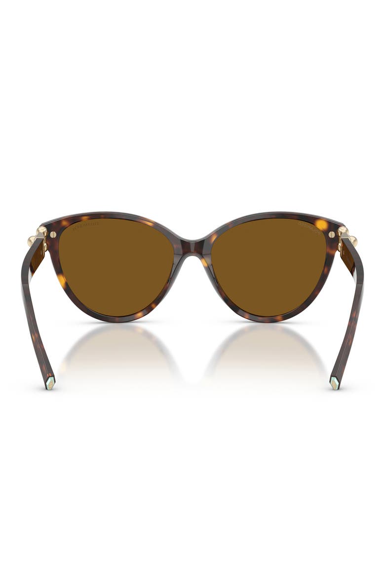 56mm Polarized Cat Eye Sunglasses, Alternate, color, HAVANA / DARK BROWN POLAR