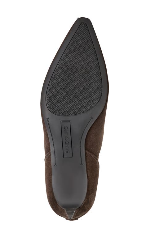 Bandolino Celebrate Kitten Heel Bootie In Brown