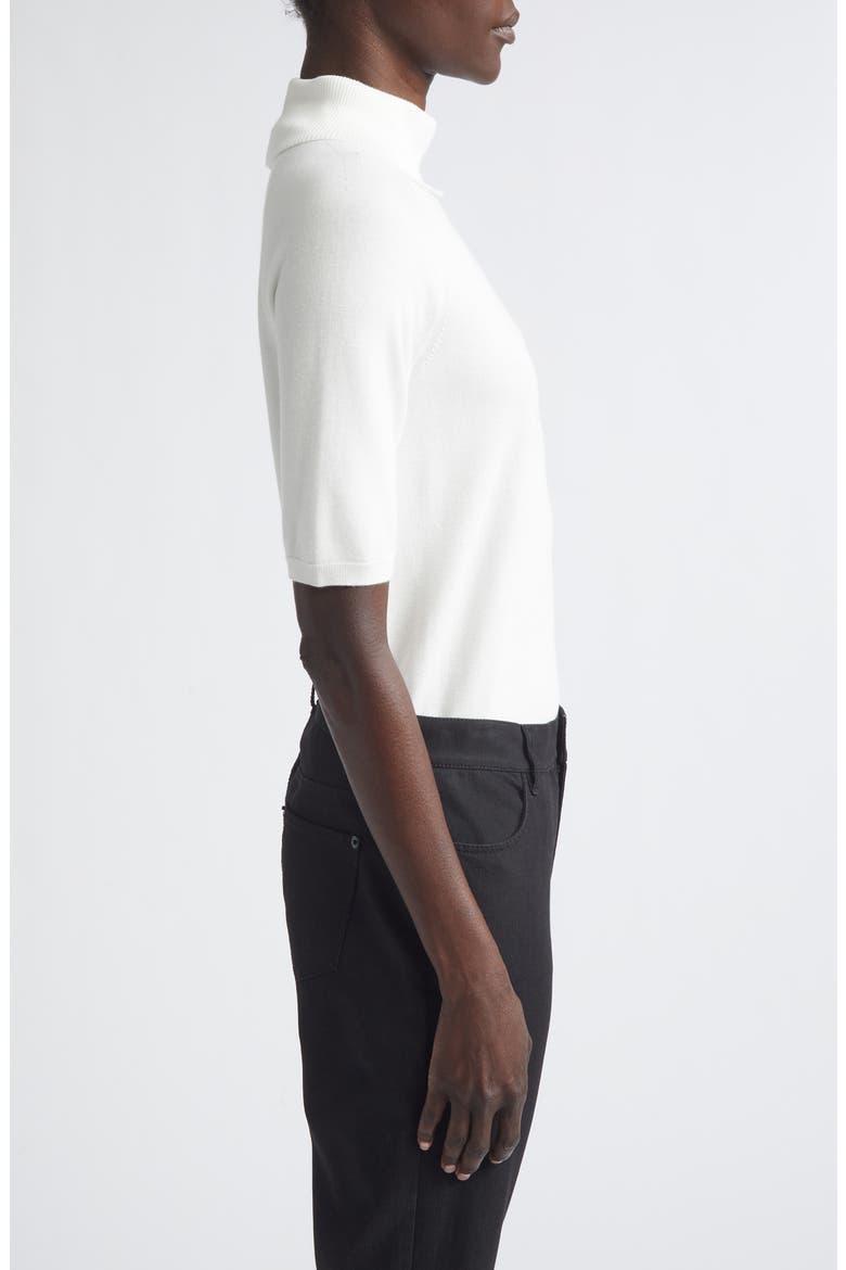 Raglan Sleeve Turtleneck Sweater, Alternate, color, CLOUD