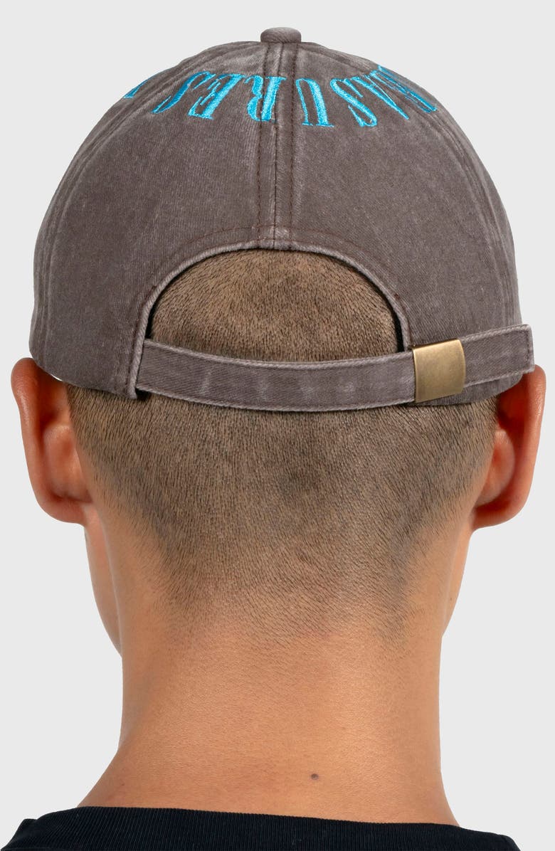 PLEASURES Onyx Crown Washed Cotton Twill Baseball Cap, Alternate, color, Brown/ Blue