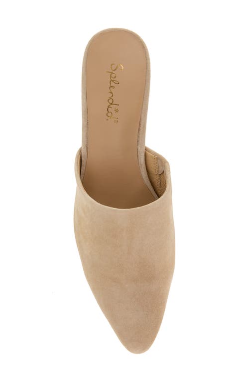 SPLENDID SPLENDID LORELEI MULE