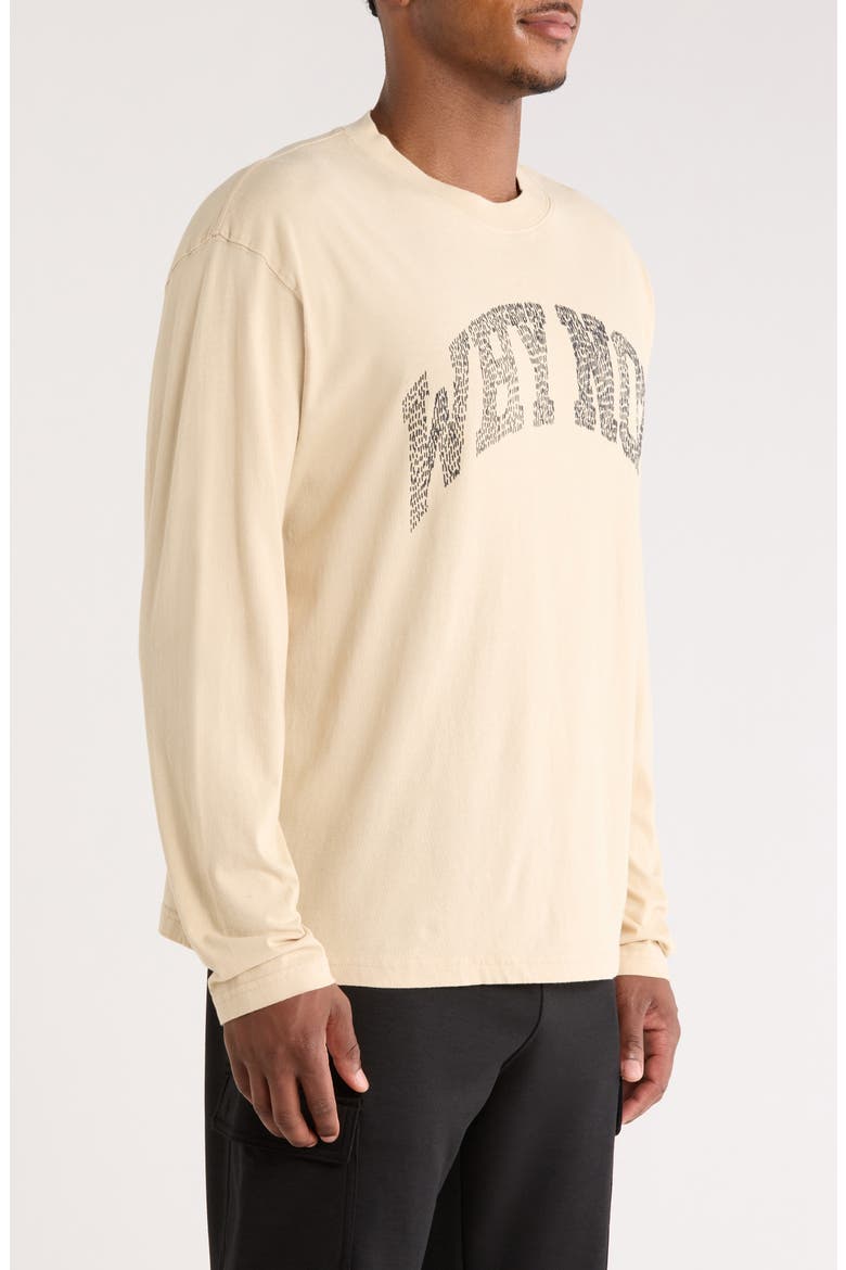 Why Not Long Sleeve Graphic T-Shirt, Alternate, color, SAND