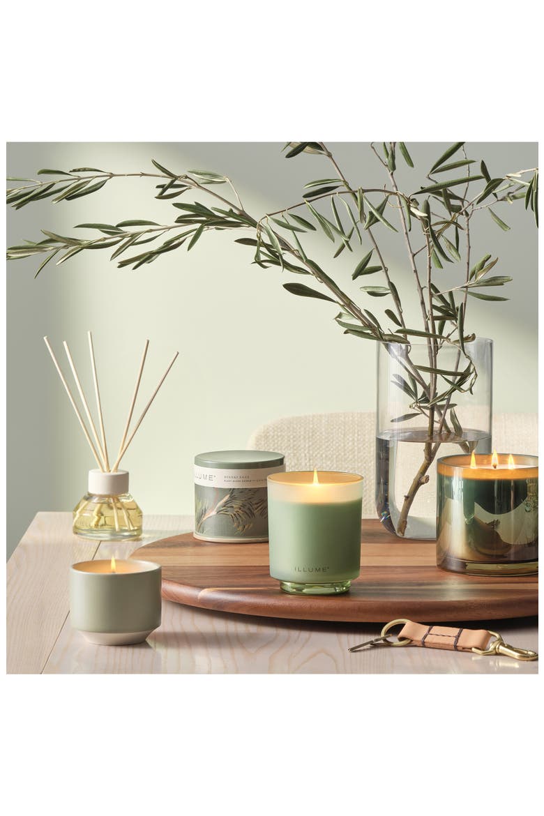 Terra Tabac Paloma Petal Statement Glass Candle, Alternate, color, HINOKI SAGE