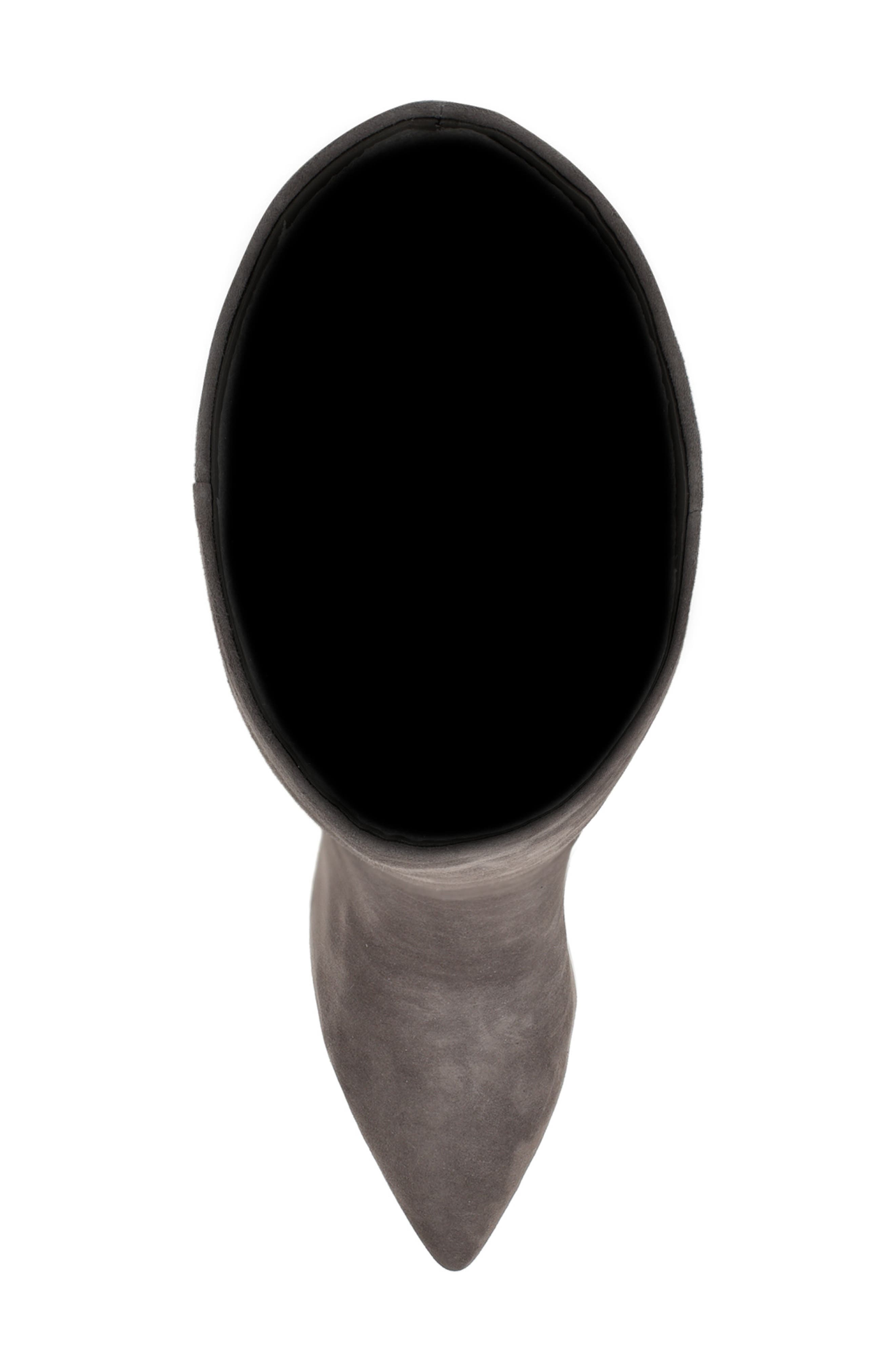 Richy Pointed Toe Knee High Boot, Alternate, color, GREY