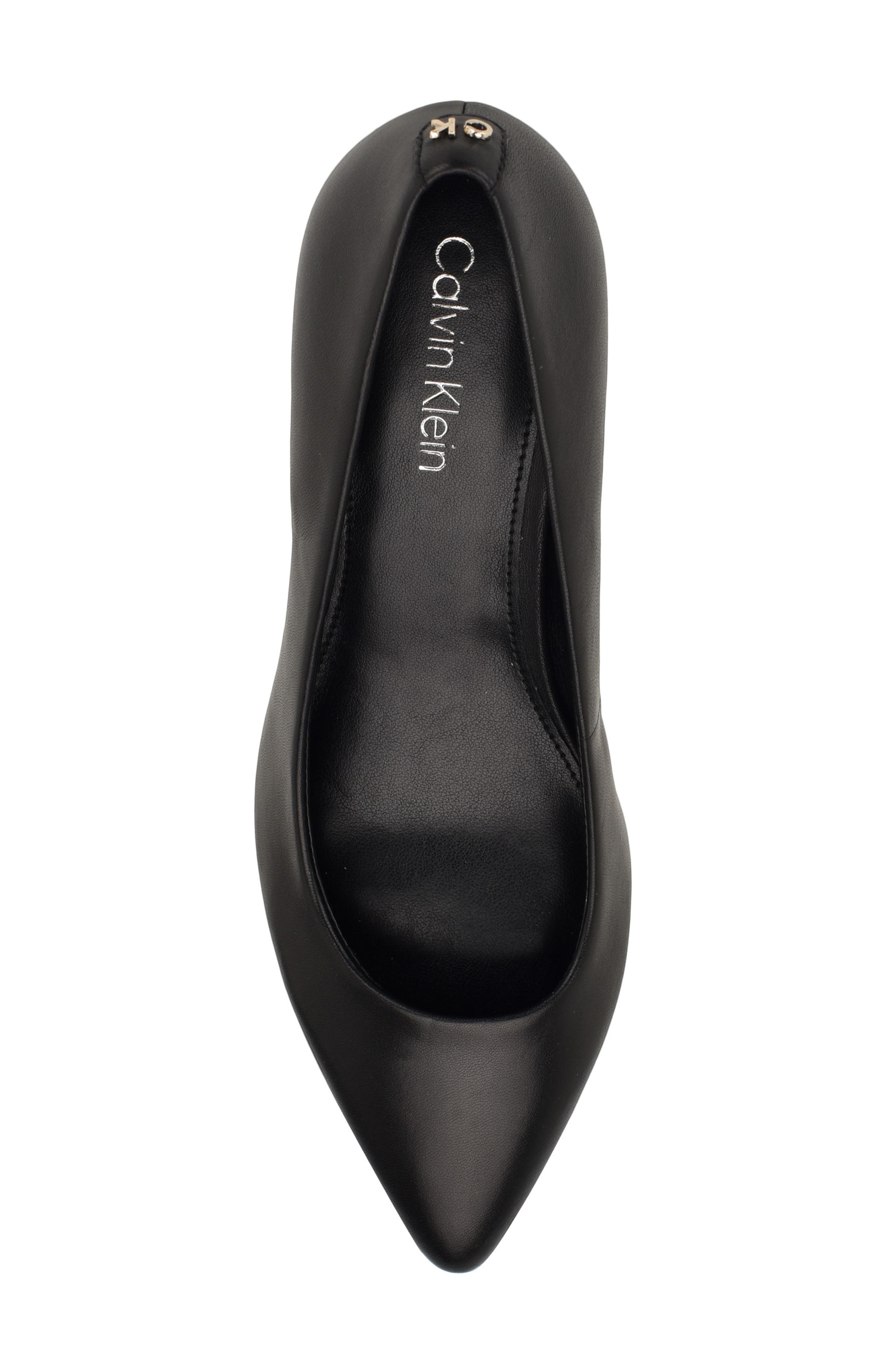 Calvin Klein Lenott Pointed Toe Pump, Alternate, color, Black Smooth