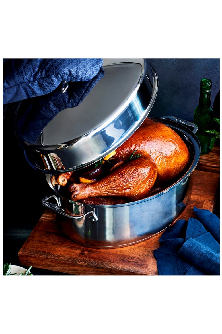 10-Quart Covered Oval Roaster & Lid, Alternate, color, SILVER
