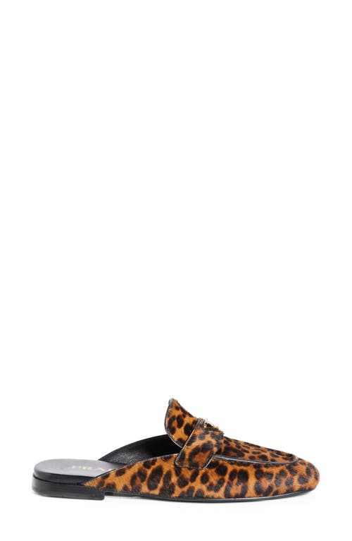 Prada Leopard-print Leather Mules