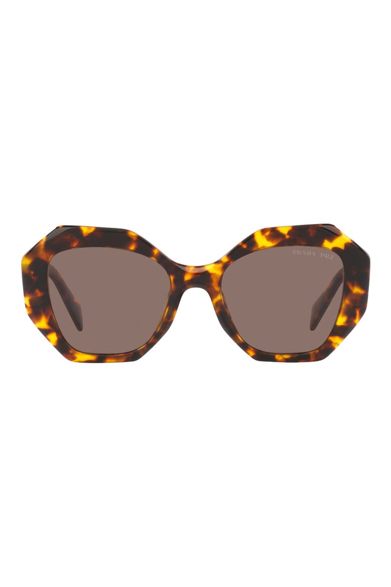 53mm Polarized Irregular Sunglasses, Main, color, TORTOISE