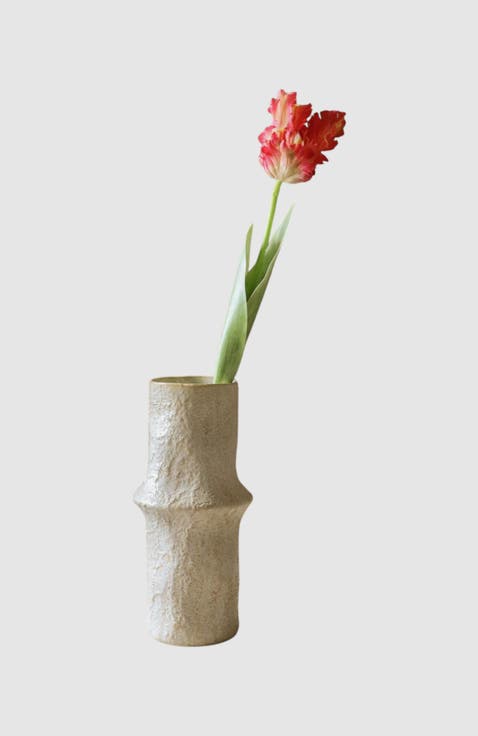 Pink Parrot Tulip Flower